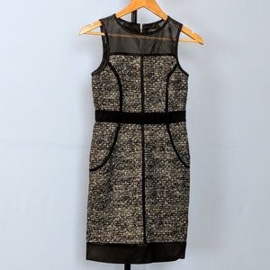 Ann Taylor Dress with Leather Mesh Accents